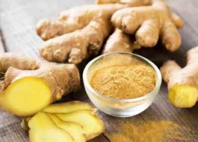 خواص زنجبیل و رابطه آن با چربی سوزی