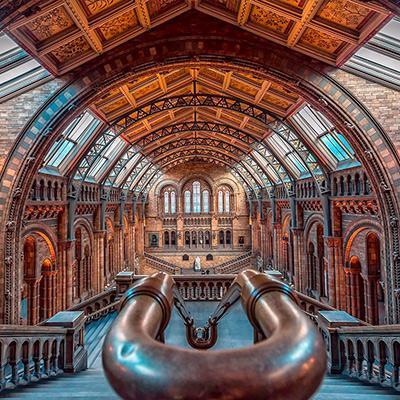 موزه تاریخ طبیعی لندن، دنیایی از شگفتی های تاریخ کره زمین