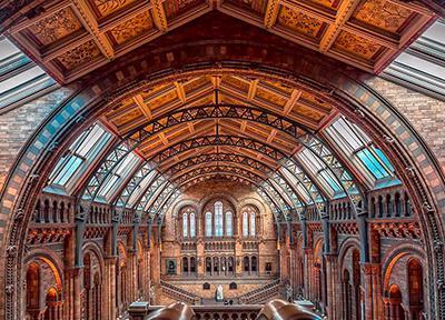 موزه تاریخ طبیعی لندن، دنیایی از شگفتی های تاریخ کره زمین