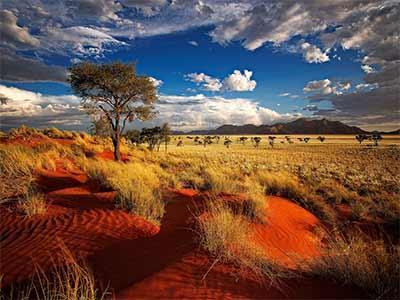 نامیبیا، سرزمینی با حیات وحش بینظیر