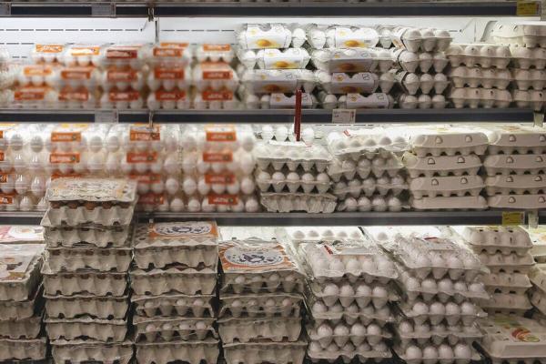 افزایش قیمت تخم مرغ ادامه دارد؛ 16 آذر 1401