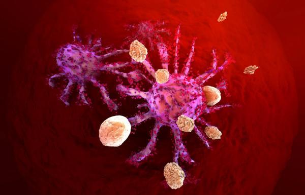 حمله دوگانه سلول ها؛ امیدی برای از بین بردن سرطان متاستاتیک پستان